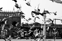 Mosque Floque