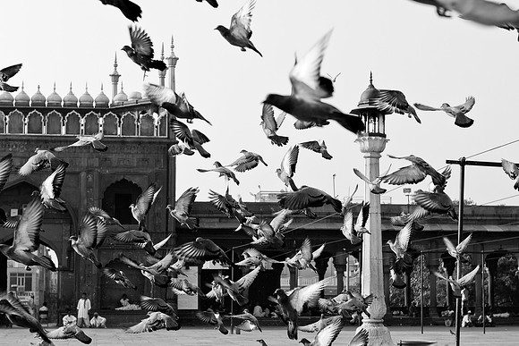 Mosque Floque