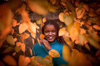 Zimbabwe Photographics