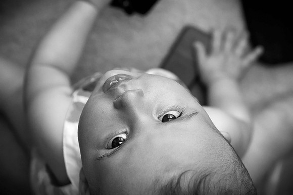 Baby Olive